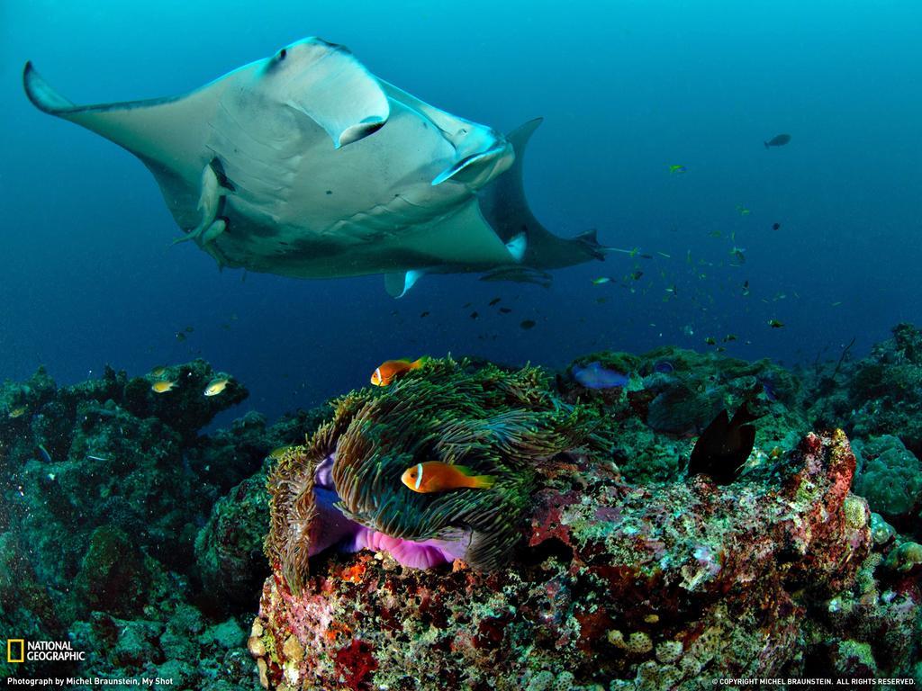 Hotel Equa Reef Maldives Addu City Exterior foto