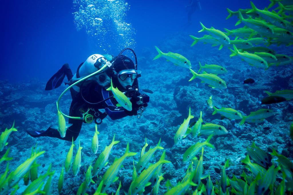 Hotel Equa Reef Maldives Addu City Exterior foto