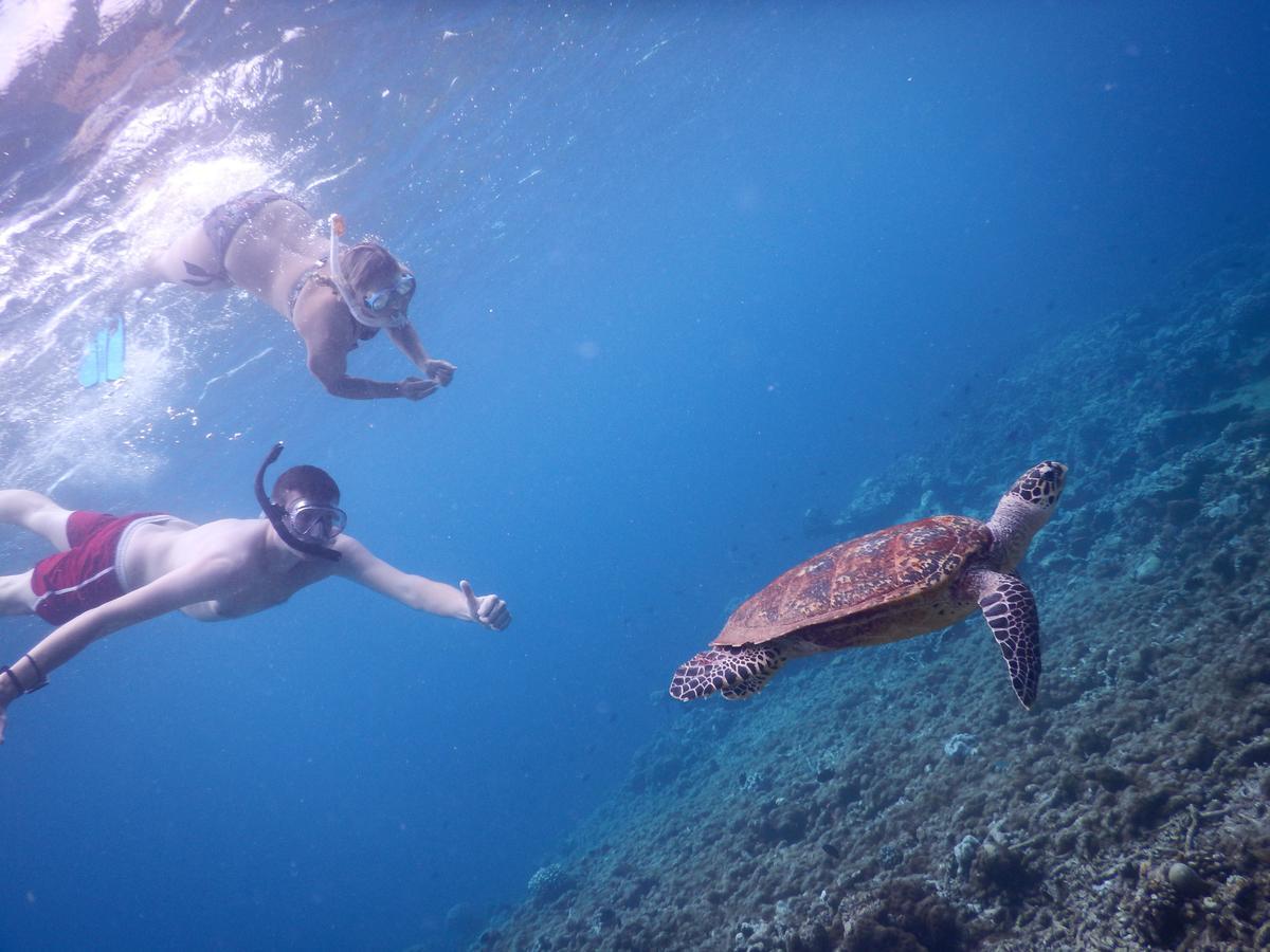 Hotel Equa Reef Maldives Addu City Exterior foto