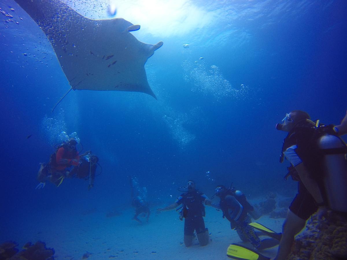 Hotel Equa Reef Maldives Addu City Exterior foto