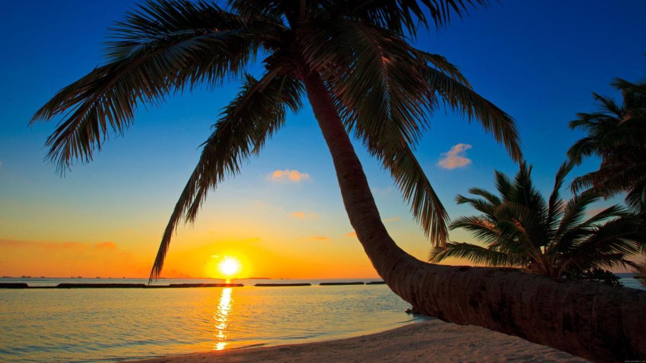 Hotel Equa Reef Maldives Addu City Exterior foto