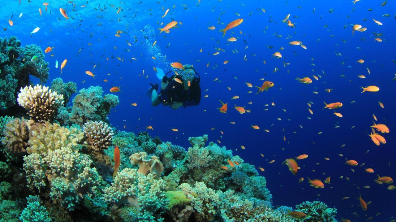 Hotel Equa Reef Maldives Addu City Exterior foto